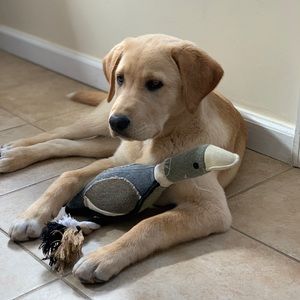 Meet your Posher, John